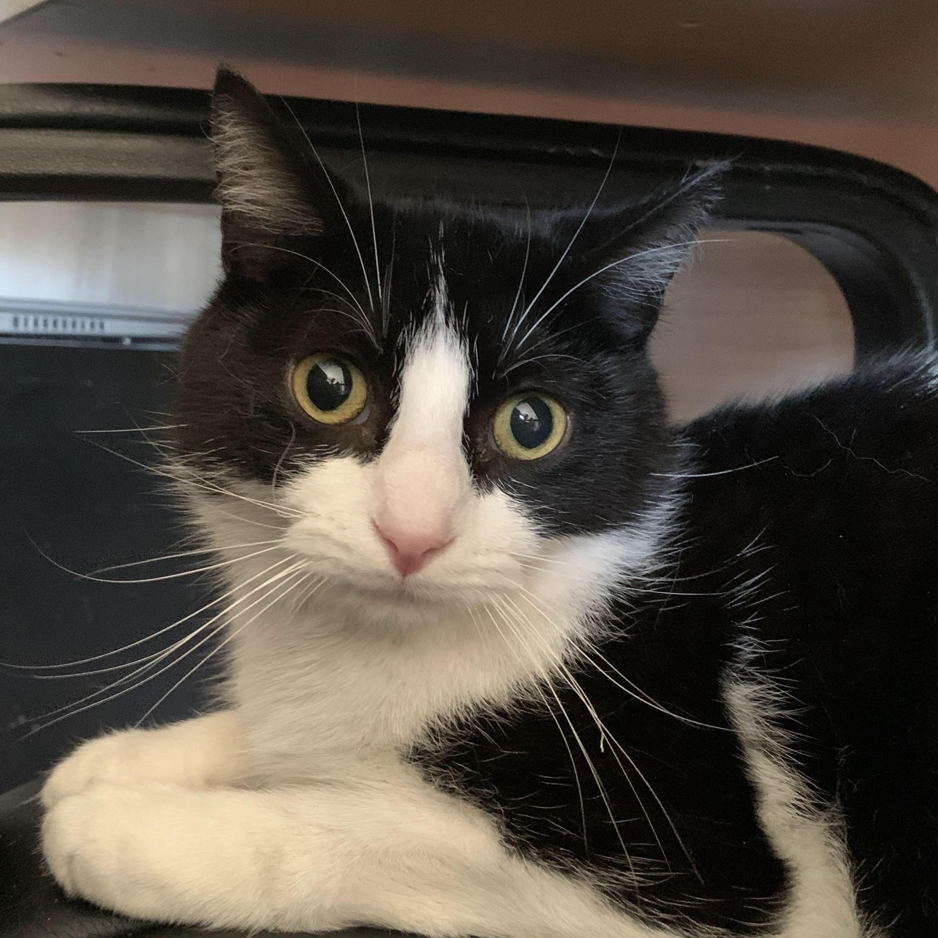 Paul & Trevor — thumbnail 2