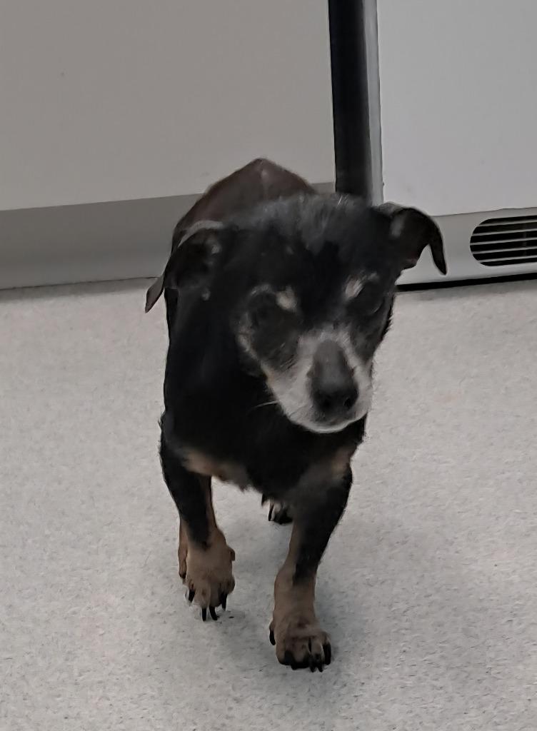 Martin (aka Little Man)