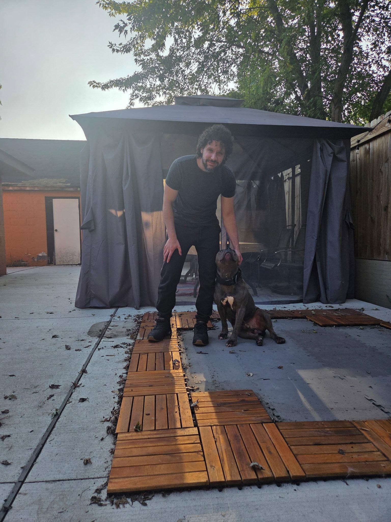 Enlarge Lucky, a Adoptable mixed breed in Belleville, MI image 1/3