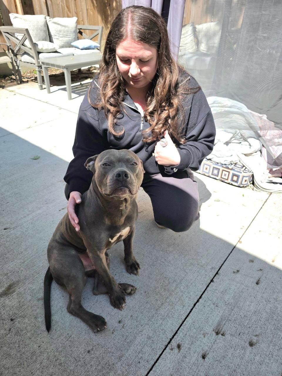 Enlarge Lucky, a Adoptable mixed breed in Belleville, MI image 2/3