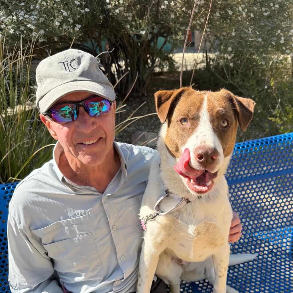 Enlarge Ruby, a Adoptable mixed breed in Albuquerque, NM image 6/6