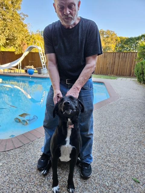 Mitzy — thumbnail 2