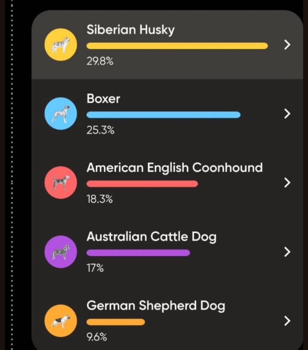 Enlarge Butter, a ADOPTABLE mixed breed in Pelzer, SC image 6/6