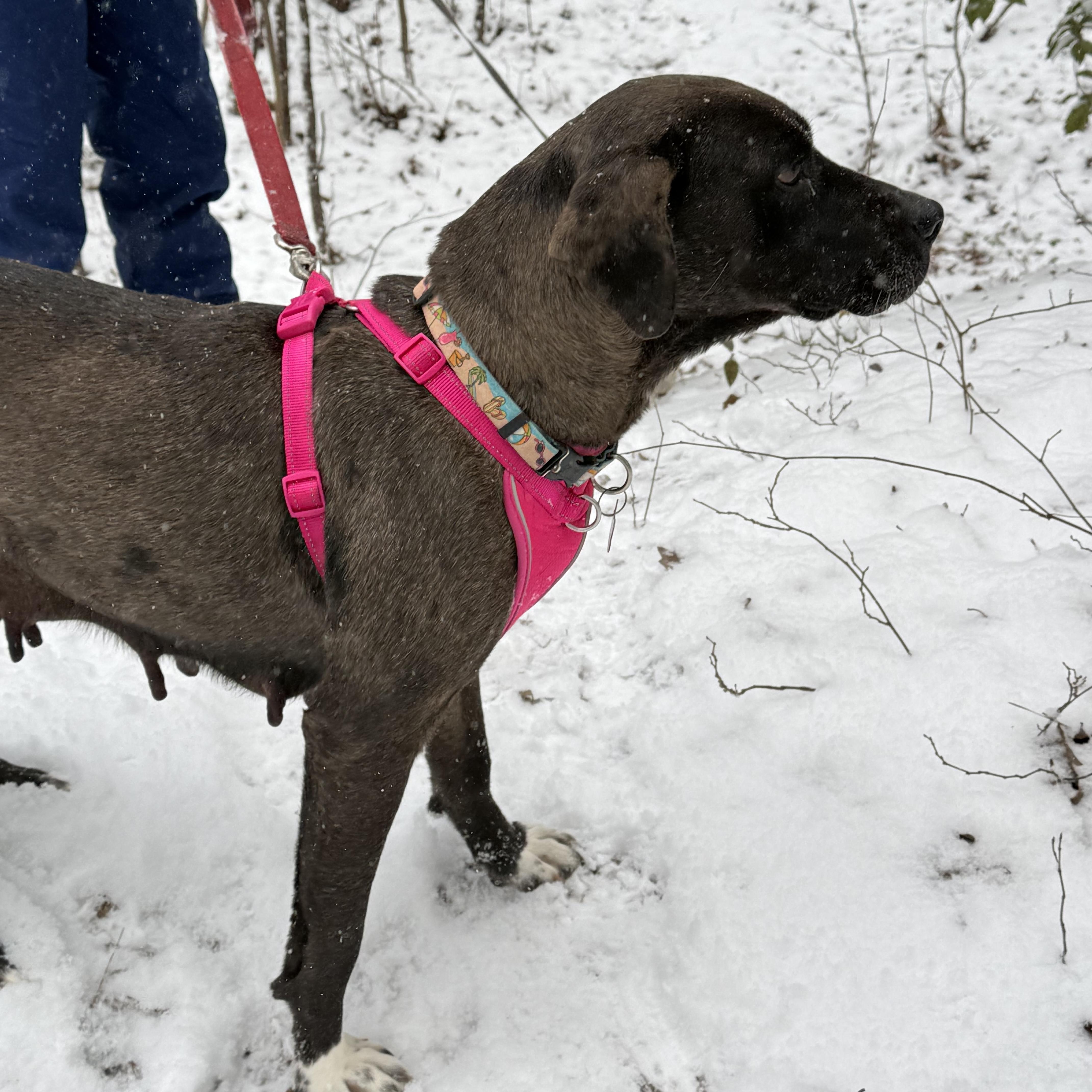 Midnight — thumbnail 4