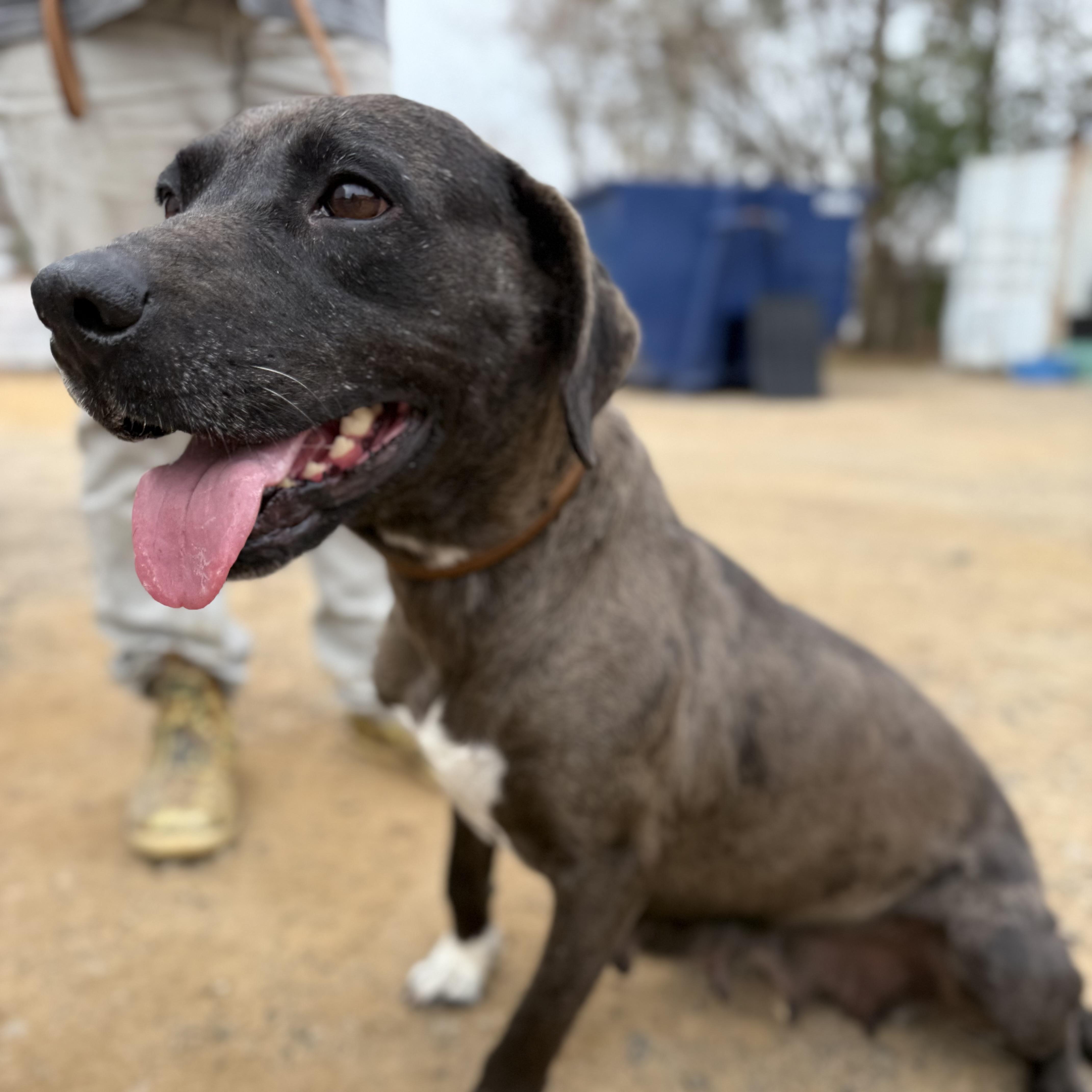 Midnight — thumbnail 6