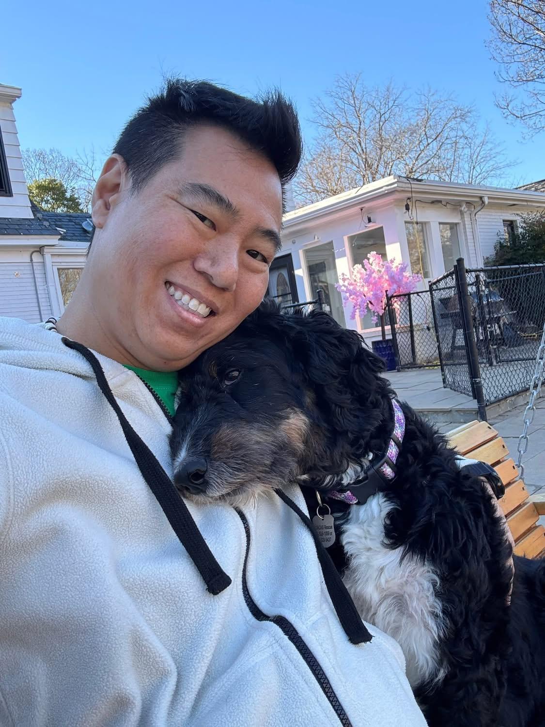 Enlarge Lucy, a ADOPTABLE Bernedoodle in POTOMAC, MD image 5/6