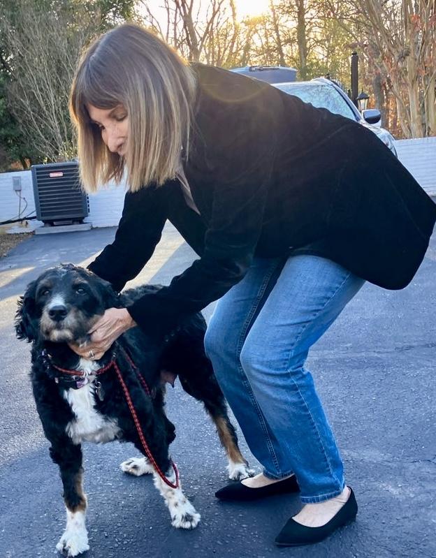 Enlarge Lucy, a ADOPTABLE Bernedoodle in POTOMAC, MD image 6/6