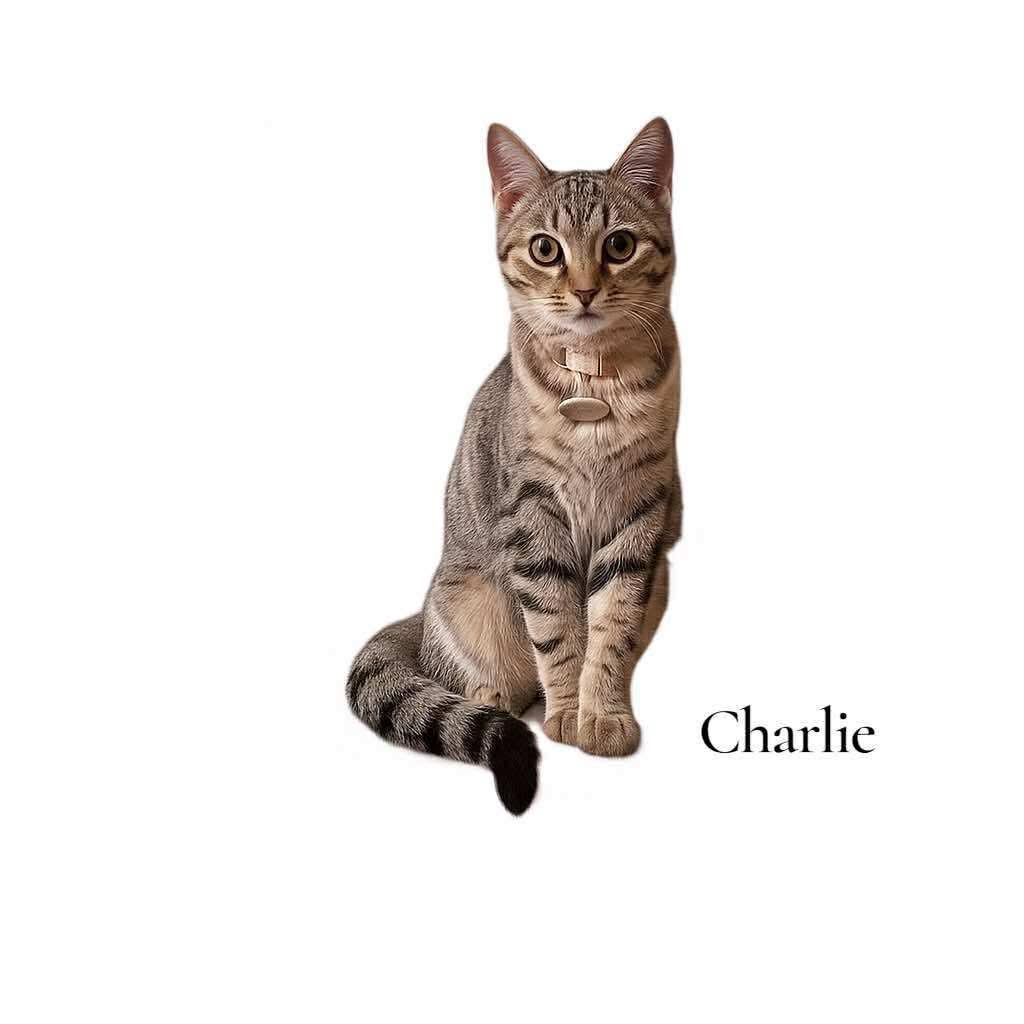 Charlie