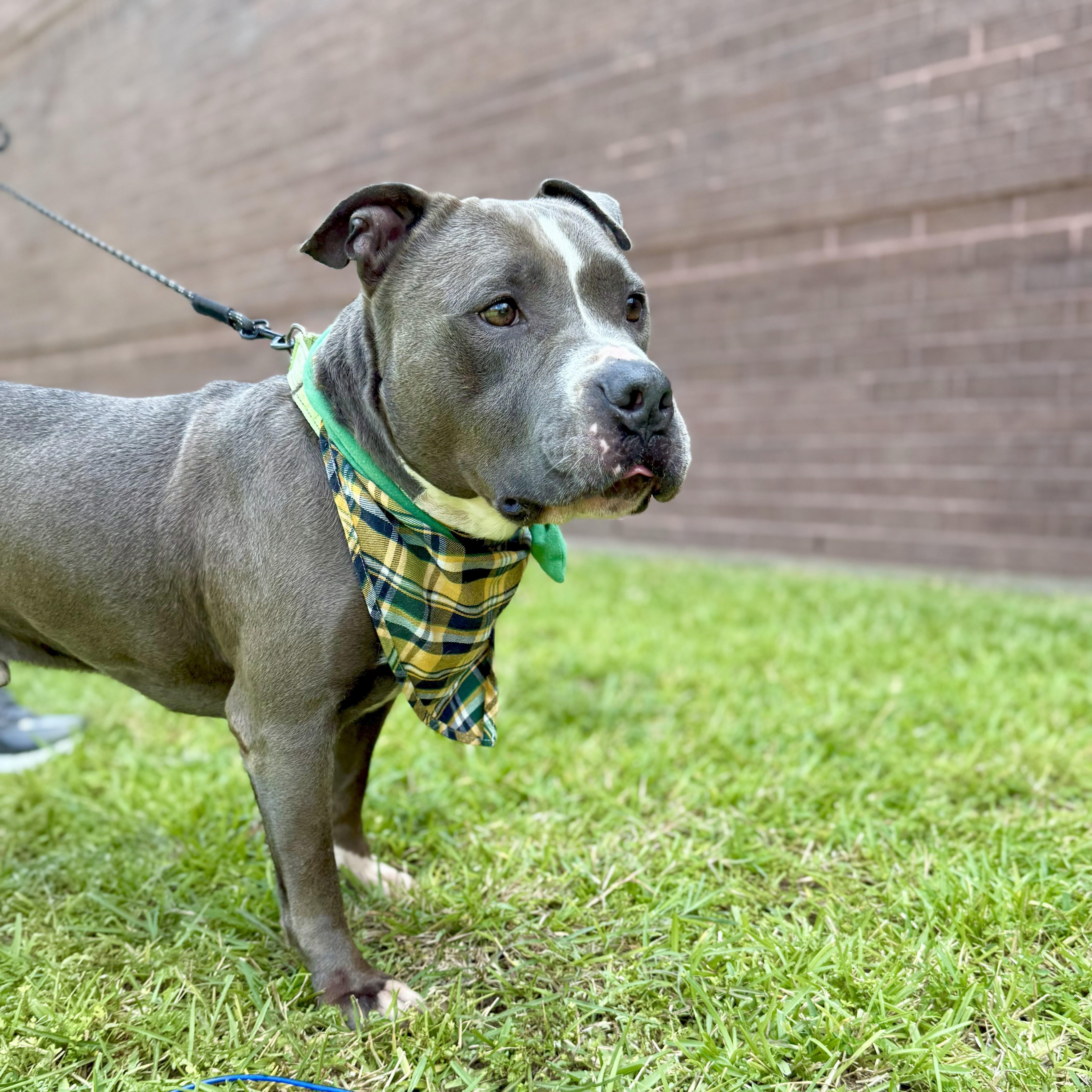 J.cole — thumbnail 4