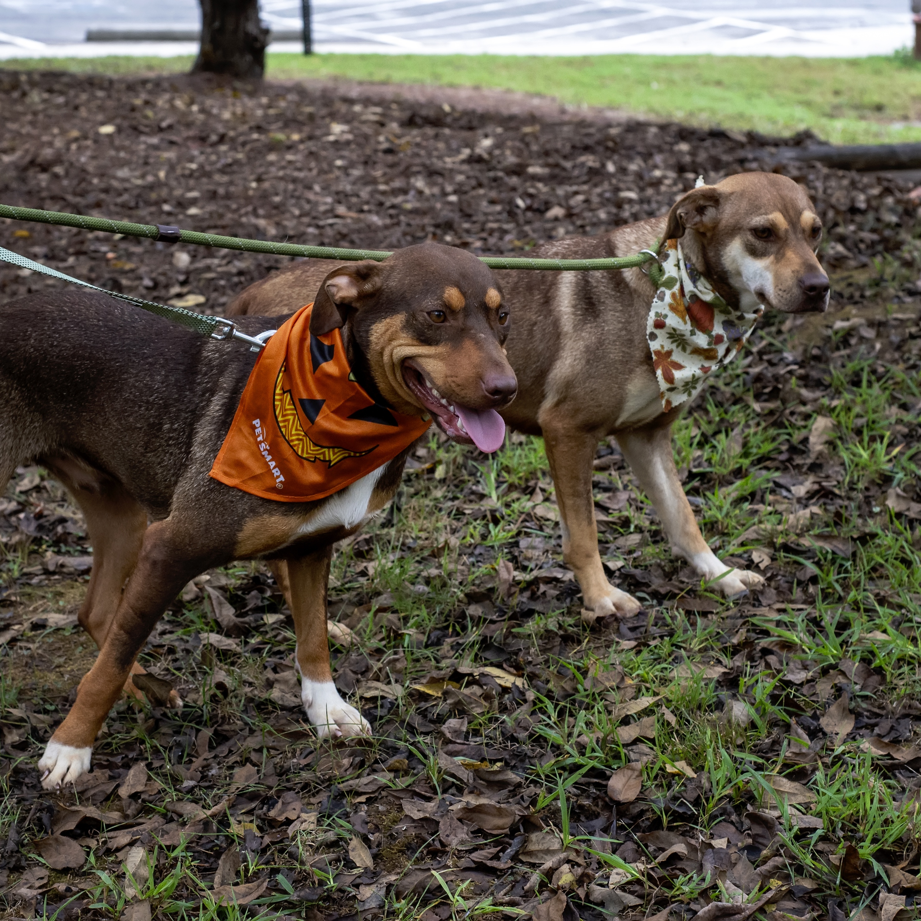 Geeters & Chang photo 3