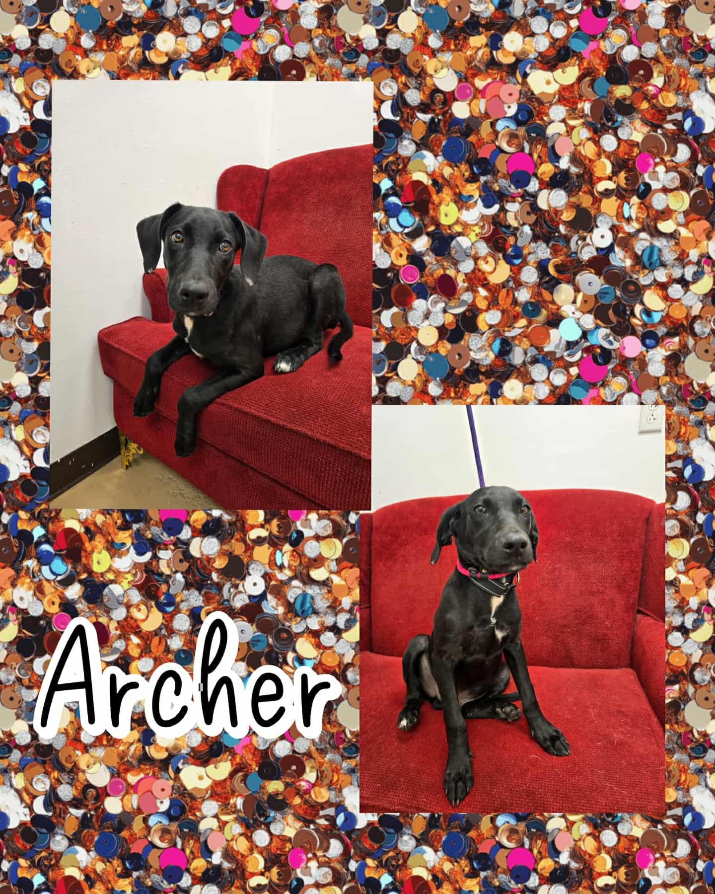 Archer
