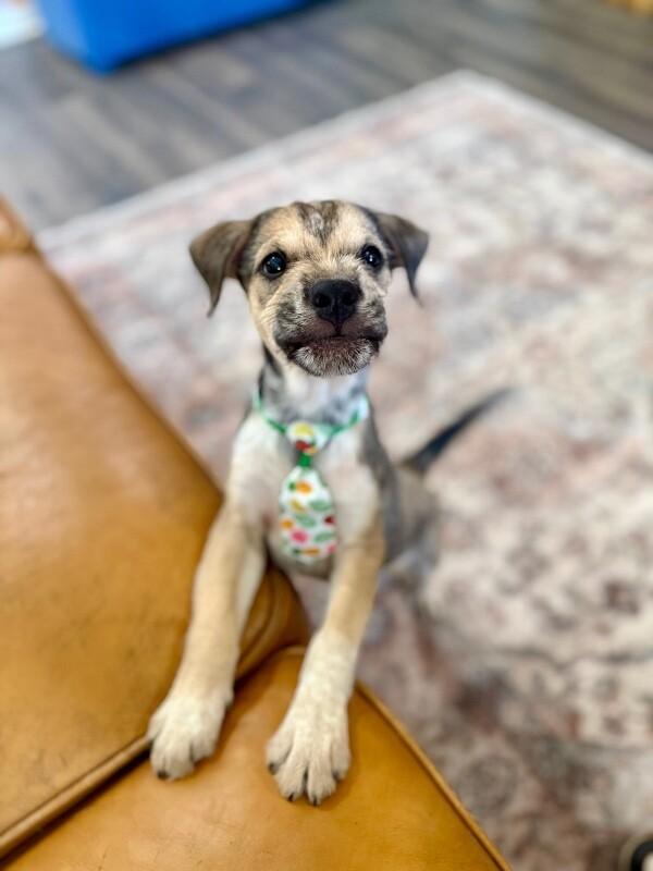 Johnny Scruffy — thumbnail 5