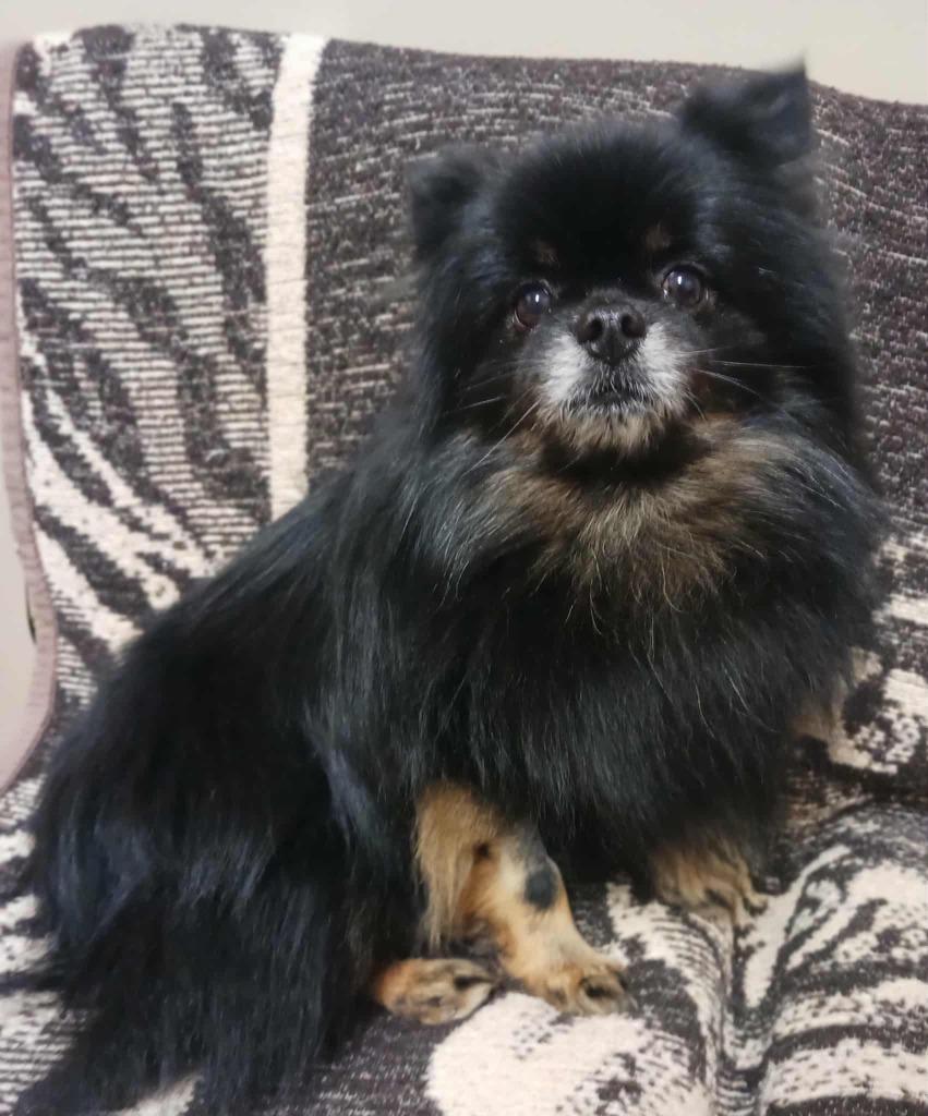 Midnight thumbnail 3