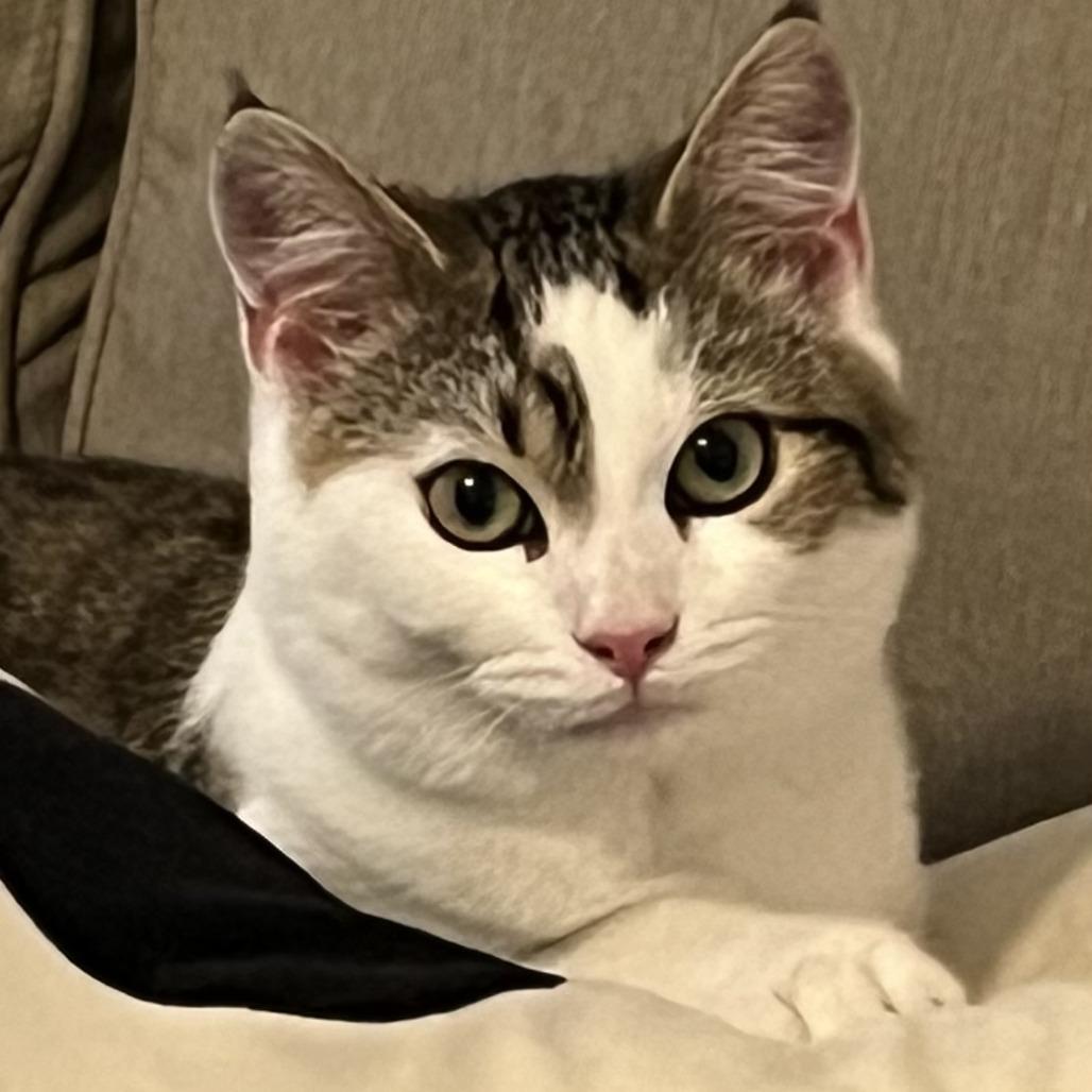 Louise — thumbnail 2