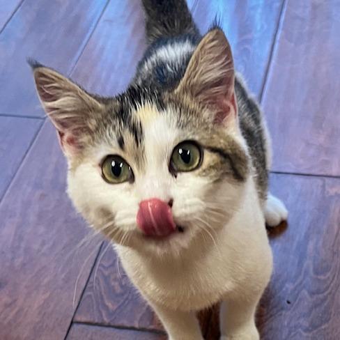 Louise — thumbnail 3