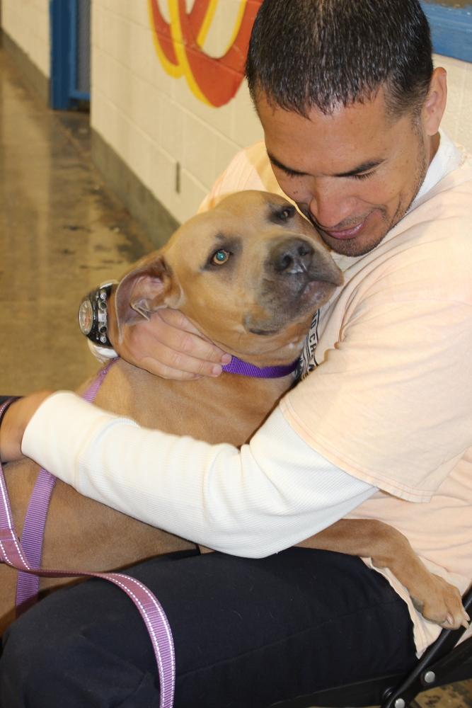 Enlarge Eileen, a Adoptable mixed breed in Tulsa, OK image 3/4
