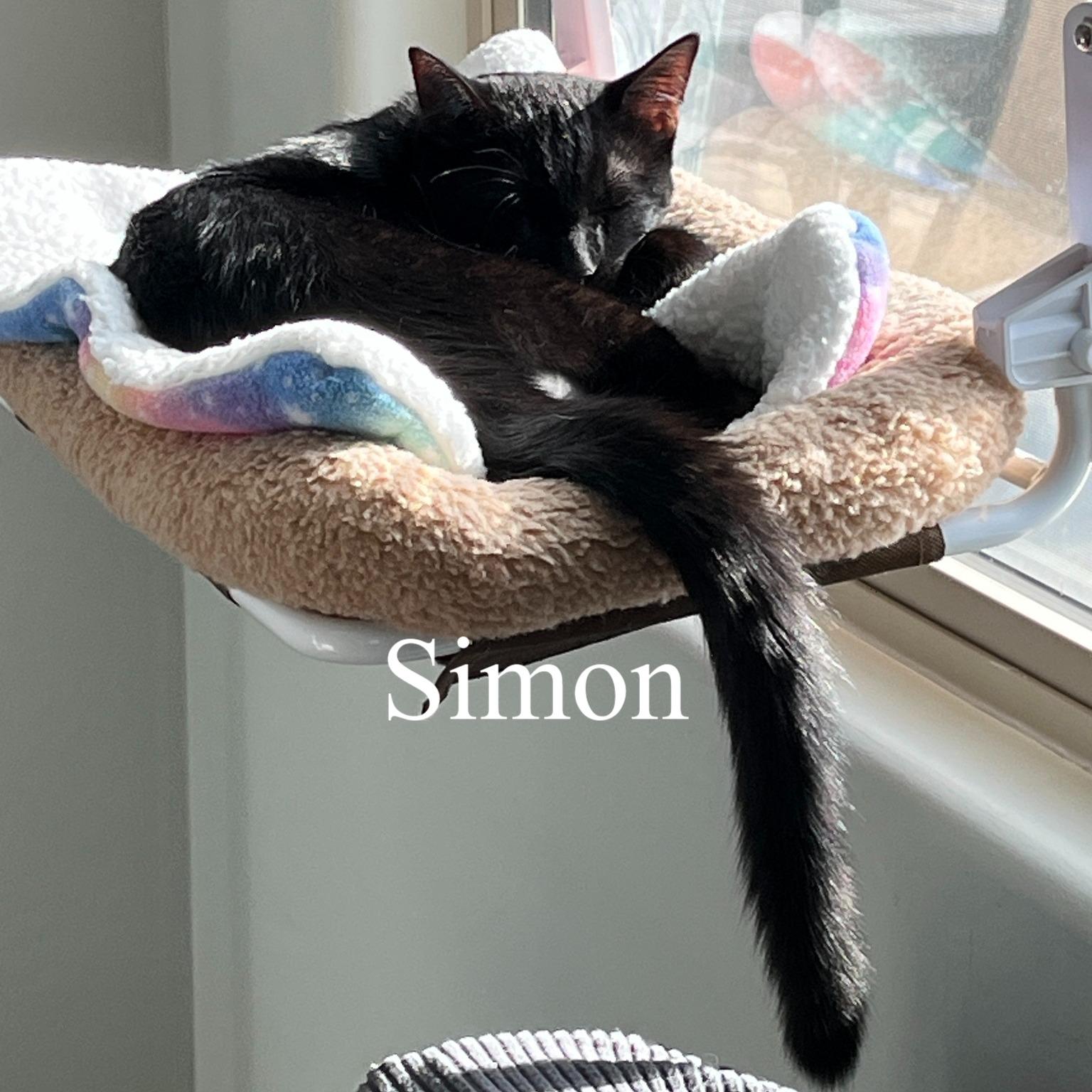 Simon