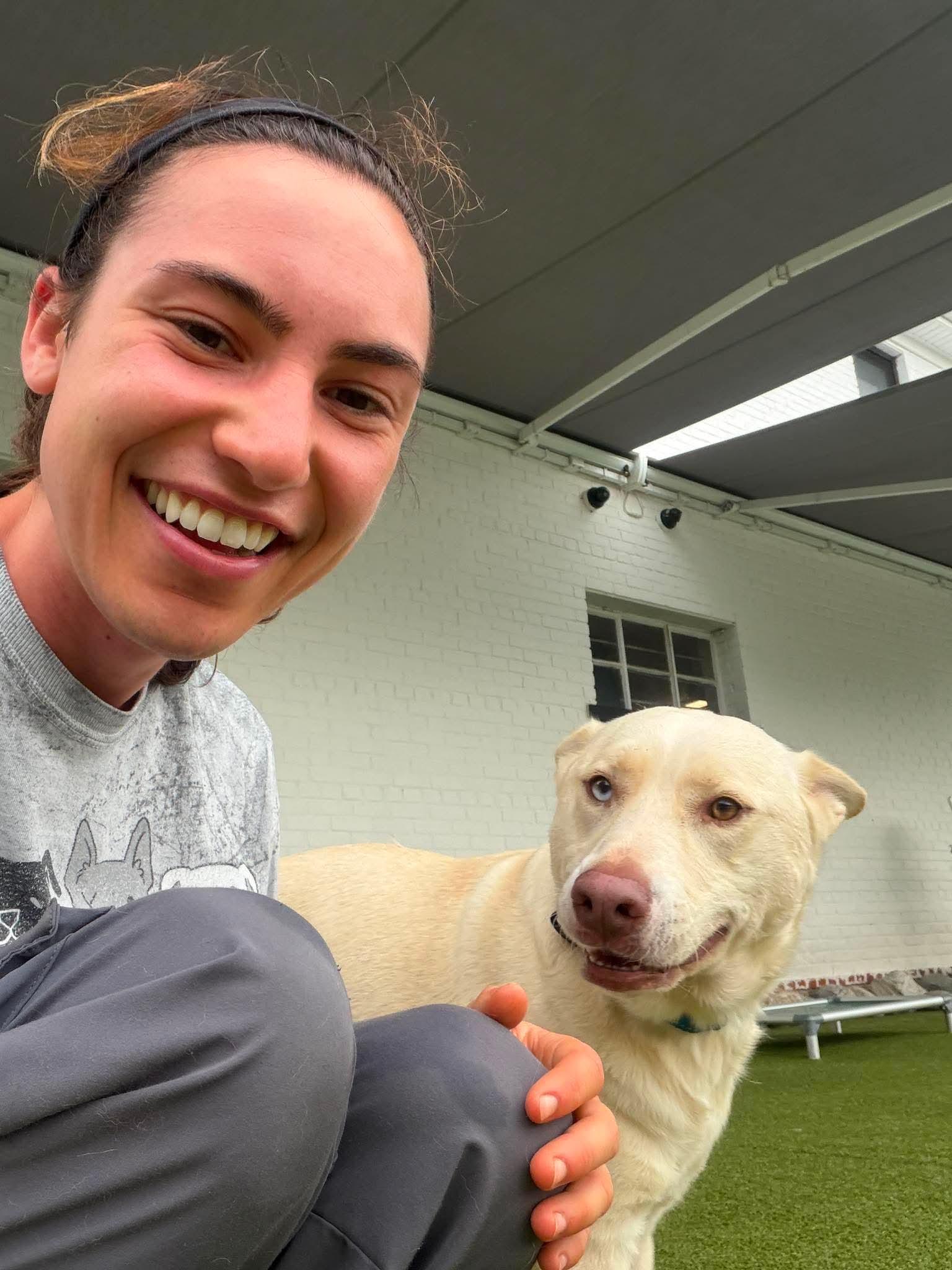 Winston, a Adoptable mixed breed in Stamford, CT image 3/6