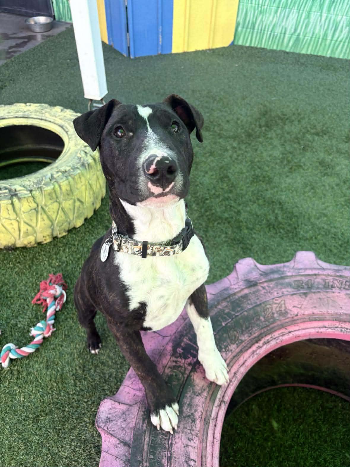 Target — thumbnail 2