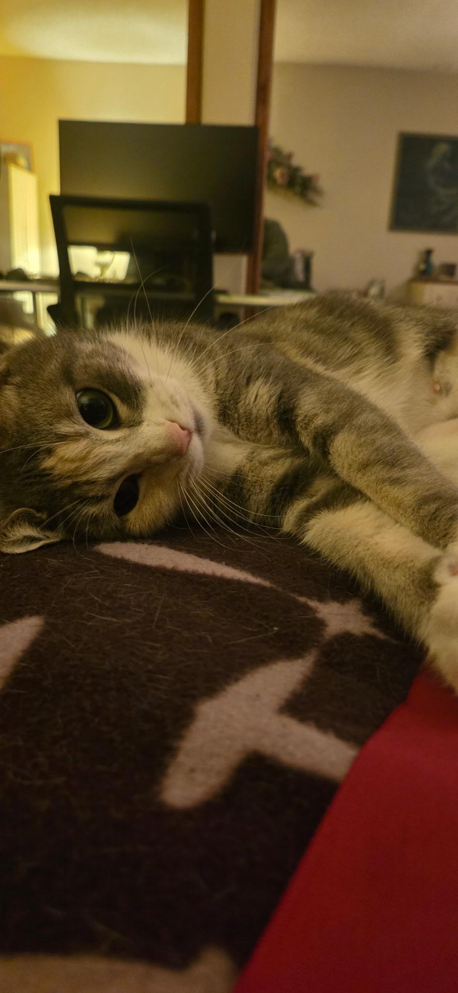 Jessi — thumbnail 2