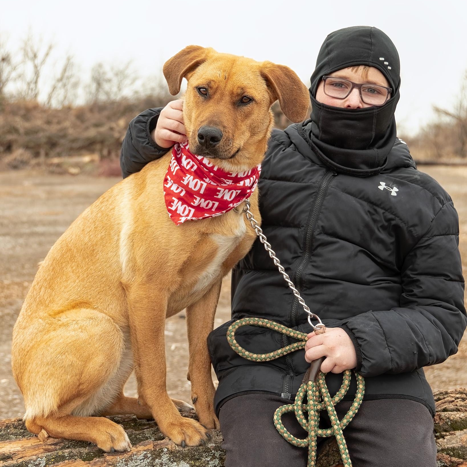 Enlarge Ginger, a ADOPTABLE mixed breed in Clarinda, IA image 2/5