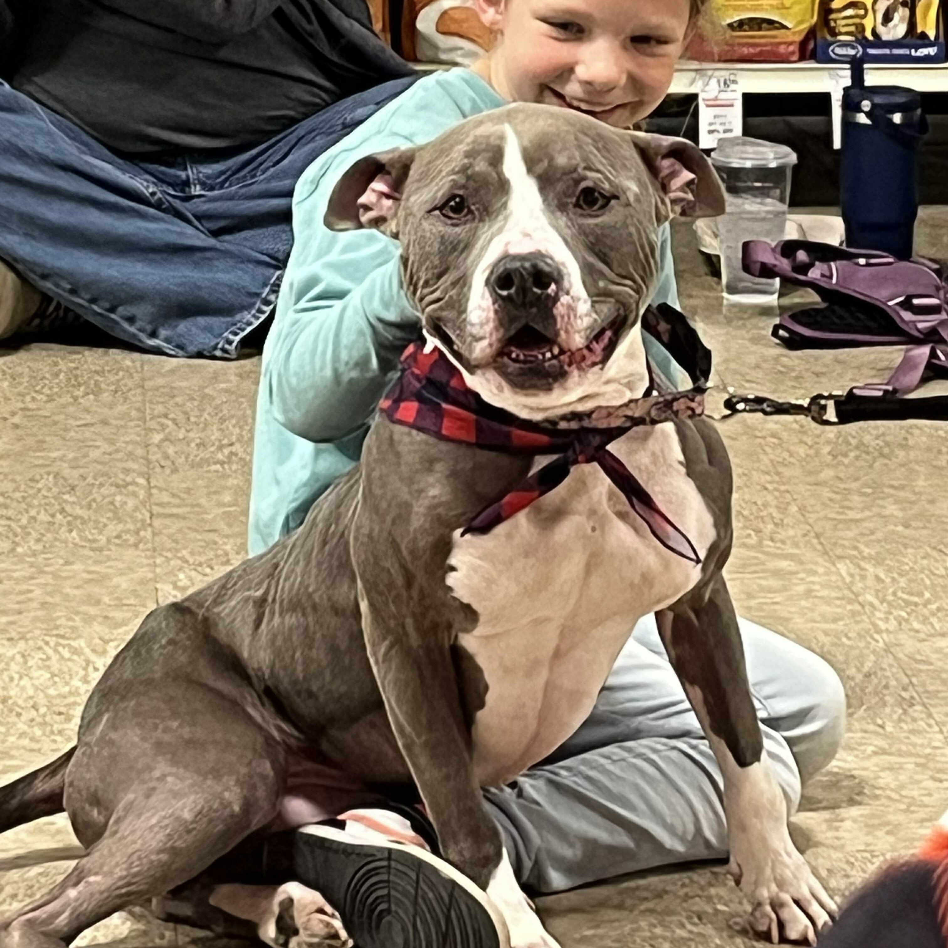 Enlarge Juniper, a Adoptable mixed breed in Yukon, OK image 2/6