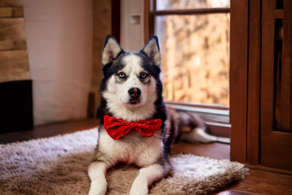 Enlarge Ares, a Adoptable Siberian Husky in Boise, ID image 6/6