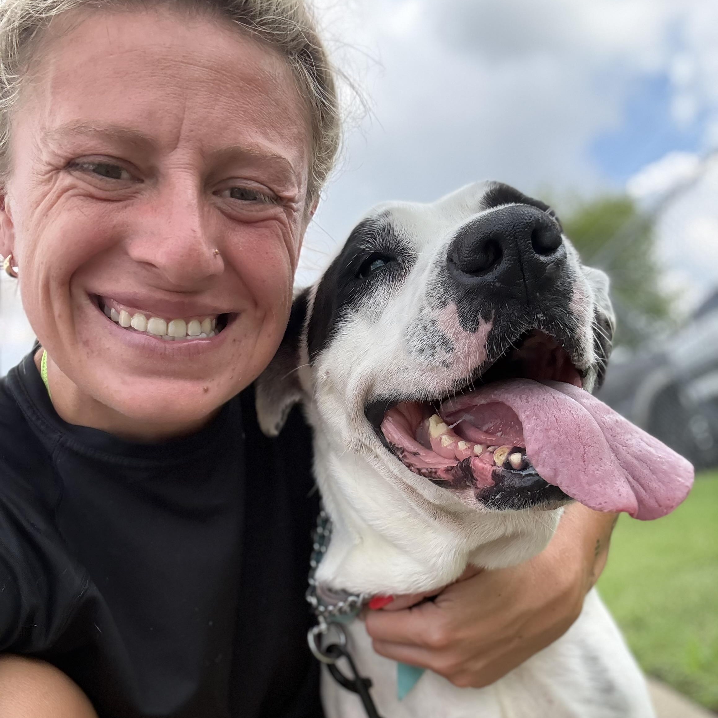 Cookie, Adoptable, Adult Female American Bulldog.