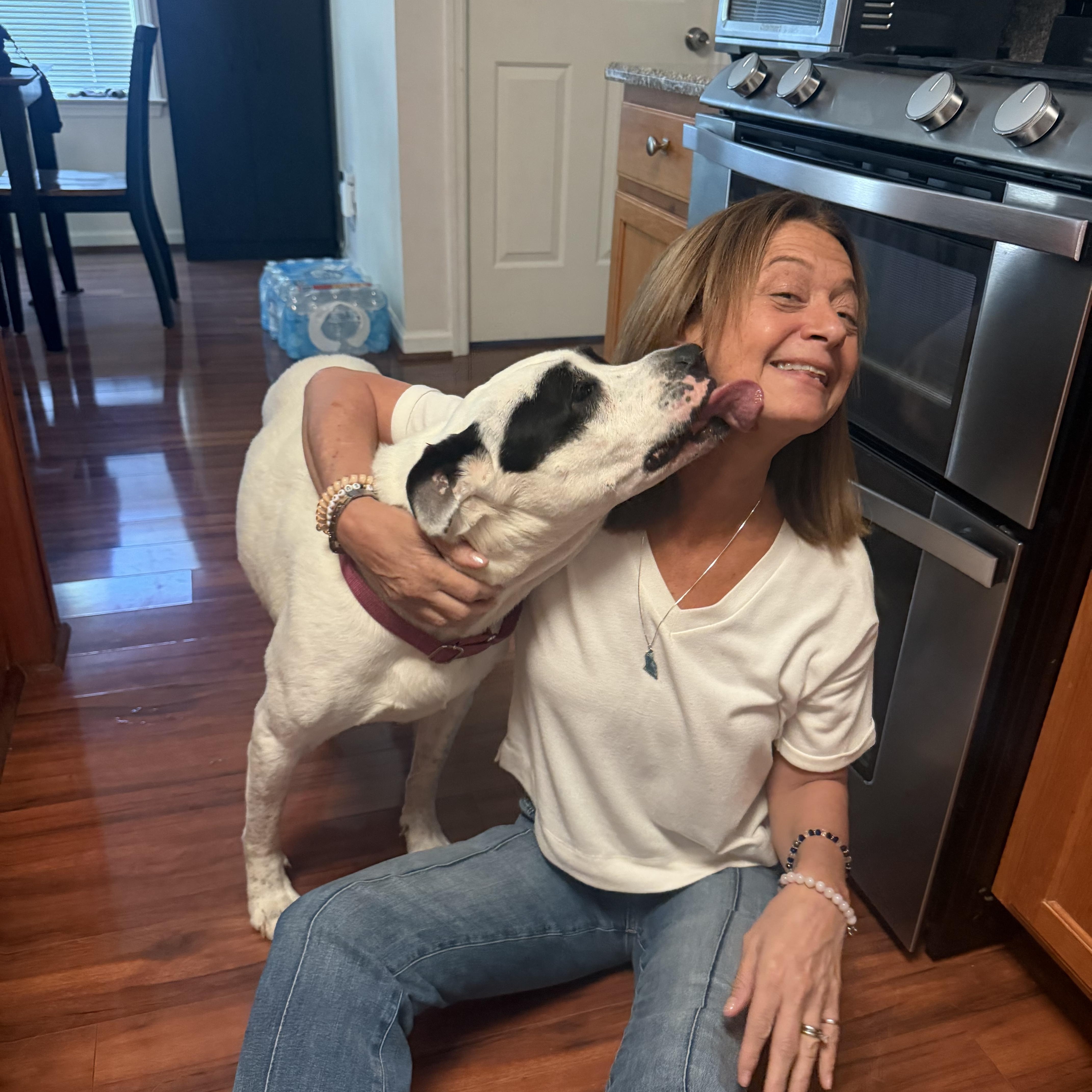 Enlarge Cookie, a ADOPTABLE American Bulldog in Brentwood, TN image 5/5