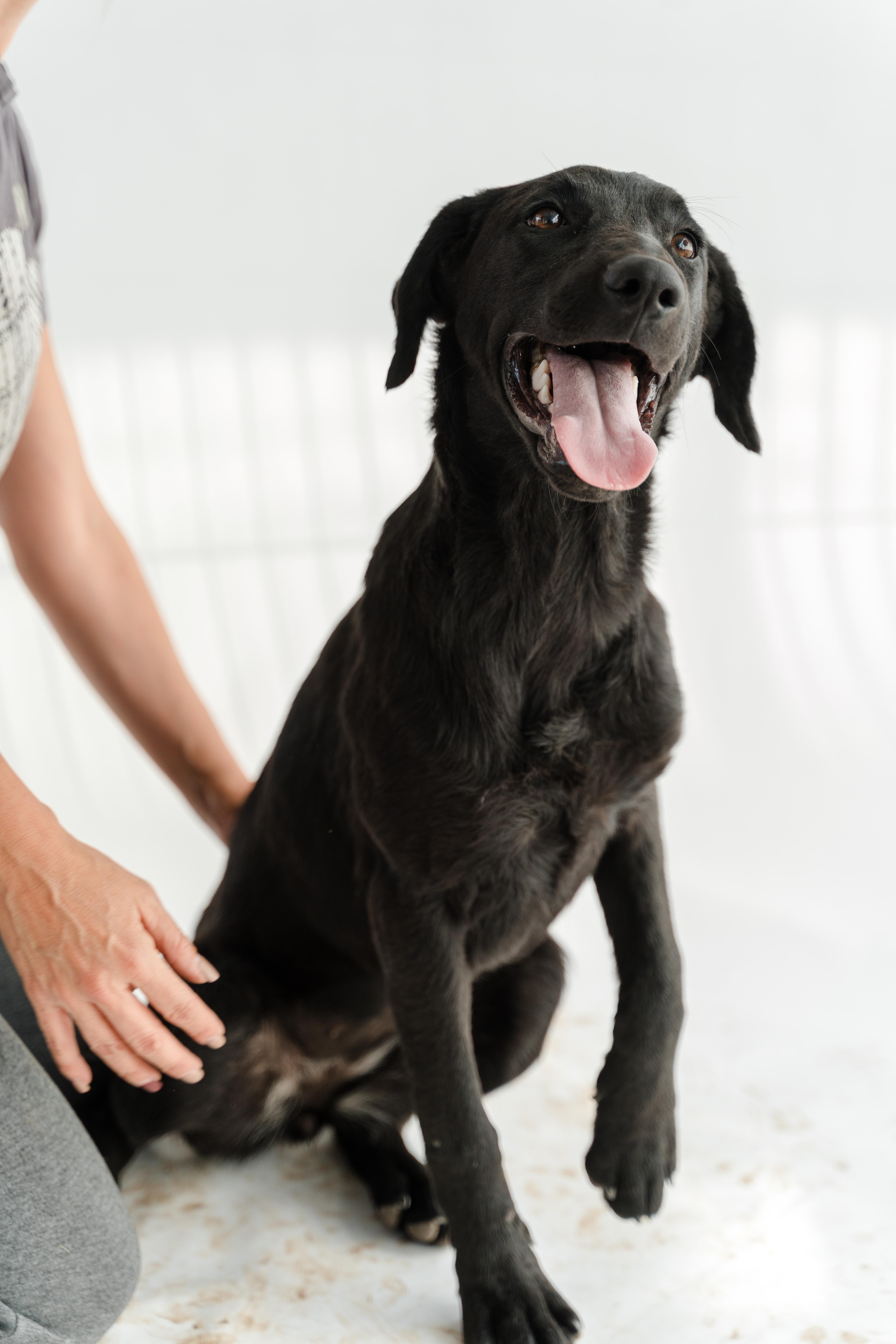 Morita — thumbnail 3