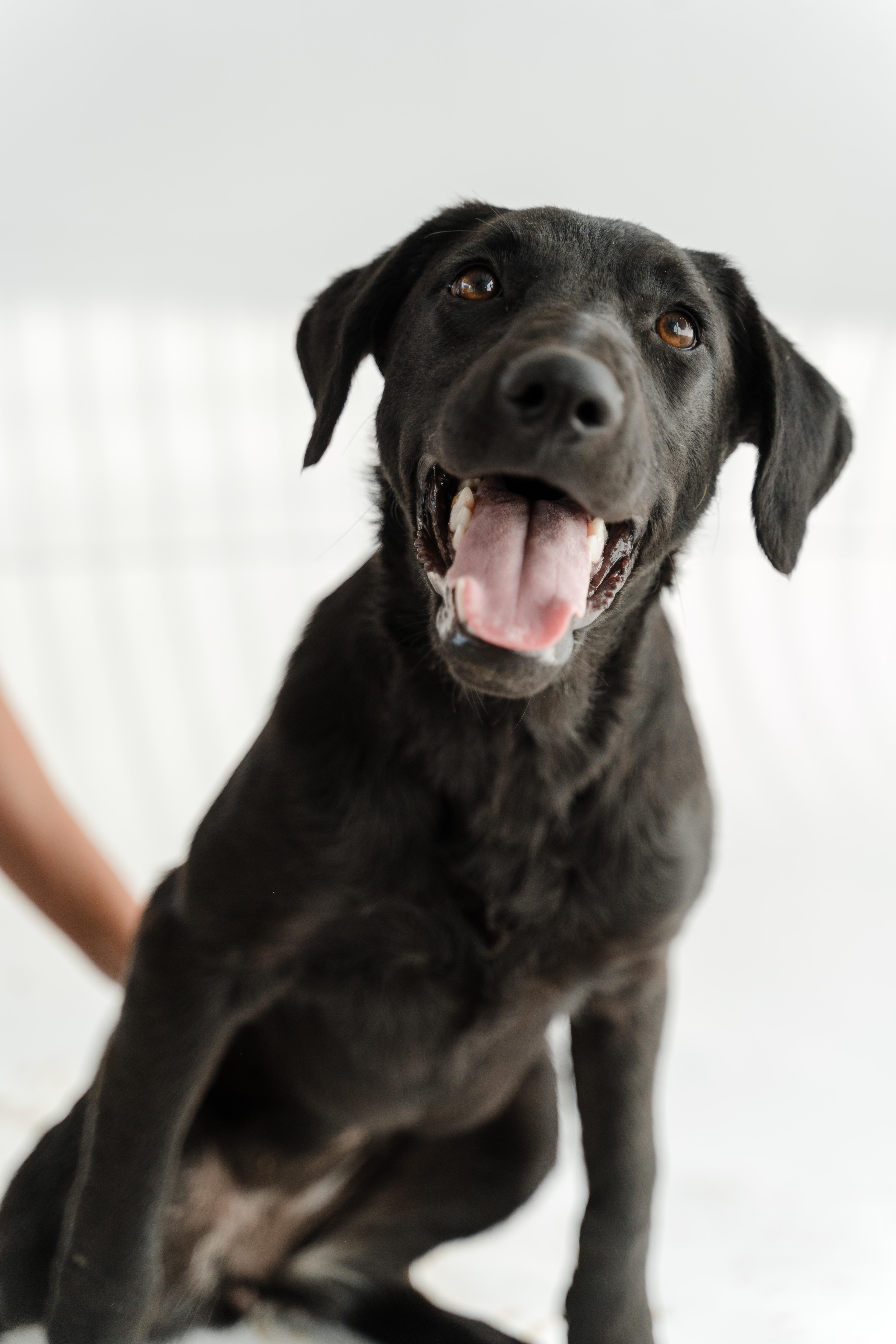 Morita — thumbnail 6