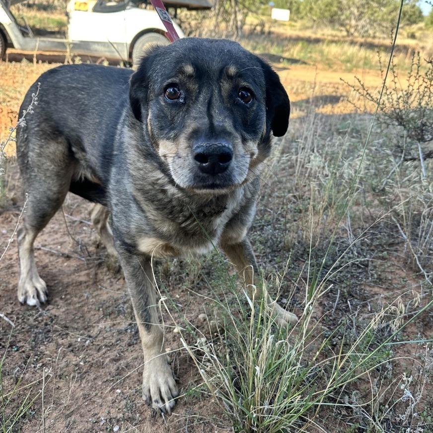 Dundee — thumbnail 3