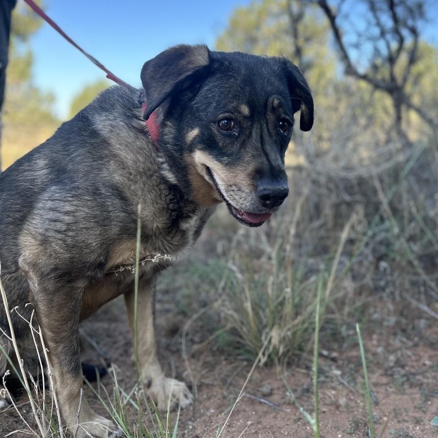 Dundee — thumbnail 5