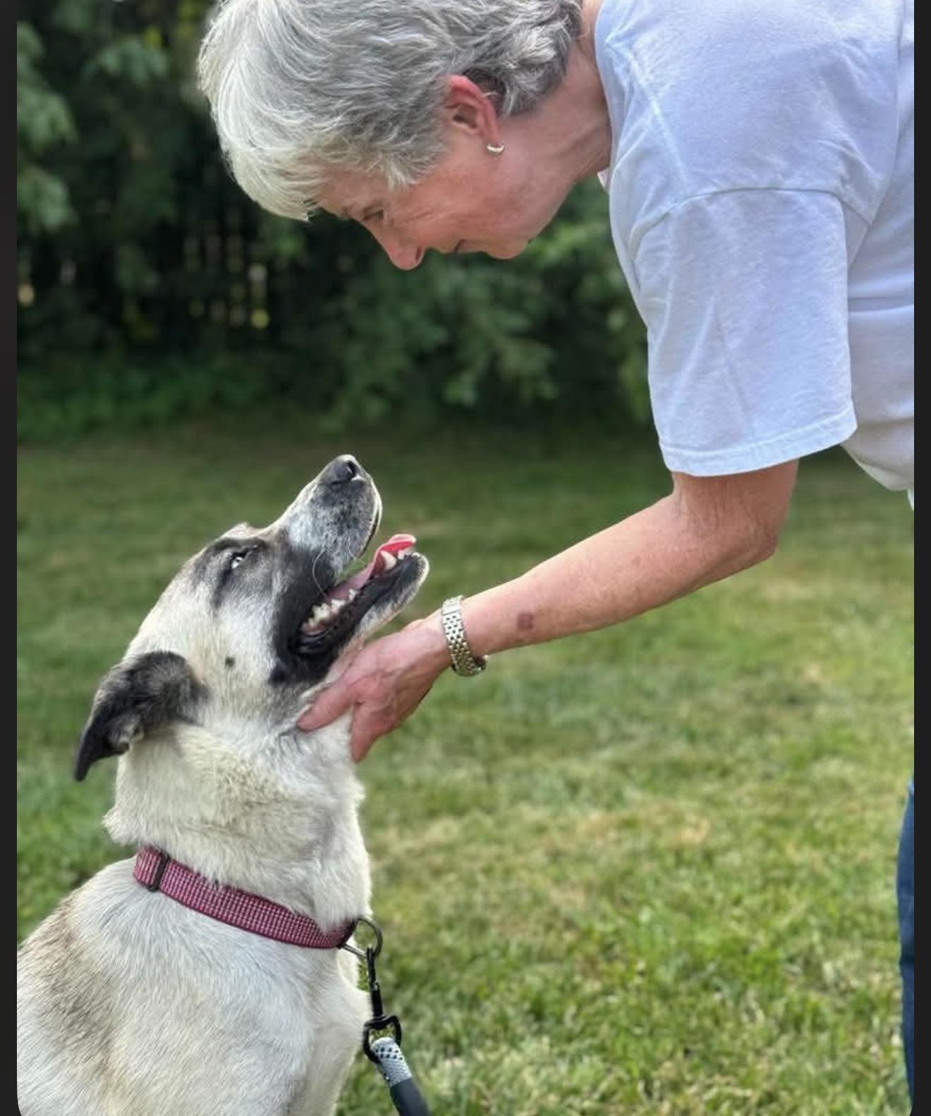 Sheeba, a ADOPTABLE mixed breed in Junction City, KY image 6/6