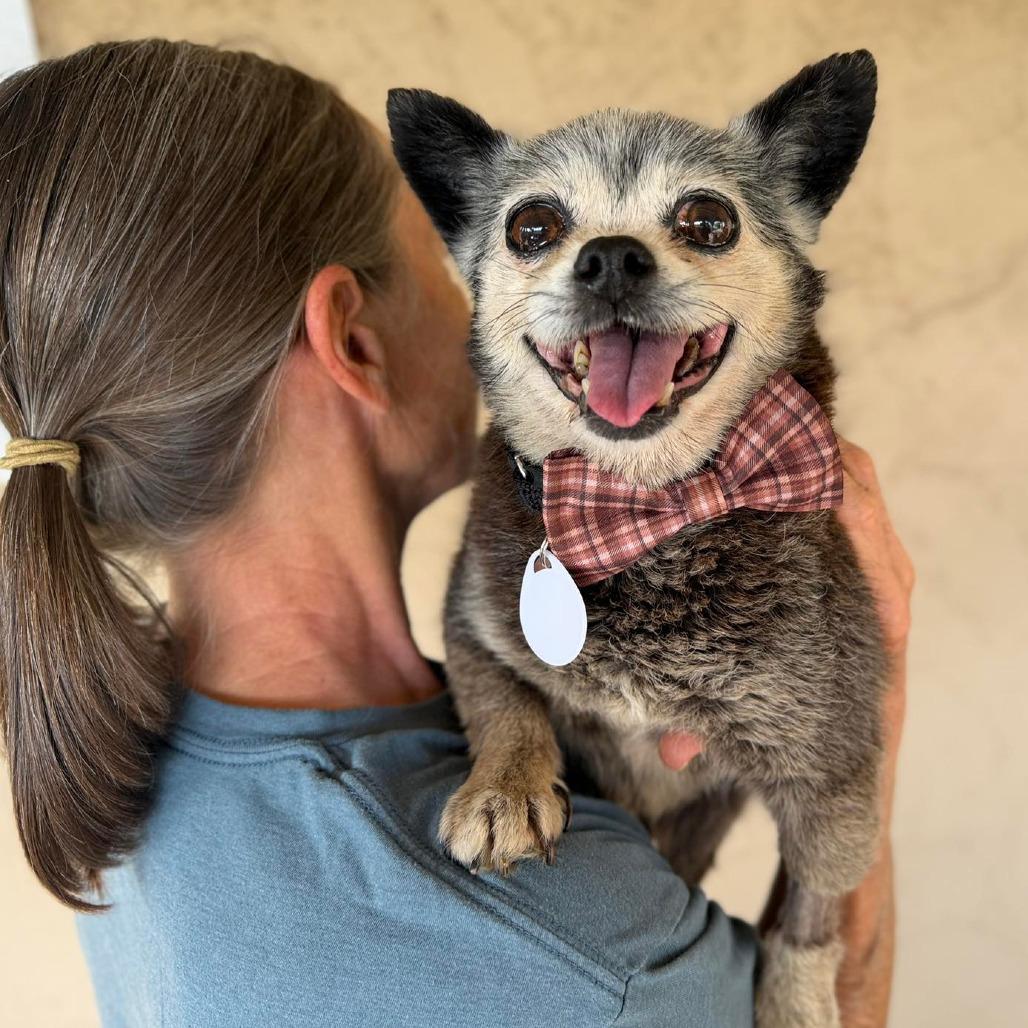 Frederick the Great — thumbnail 3