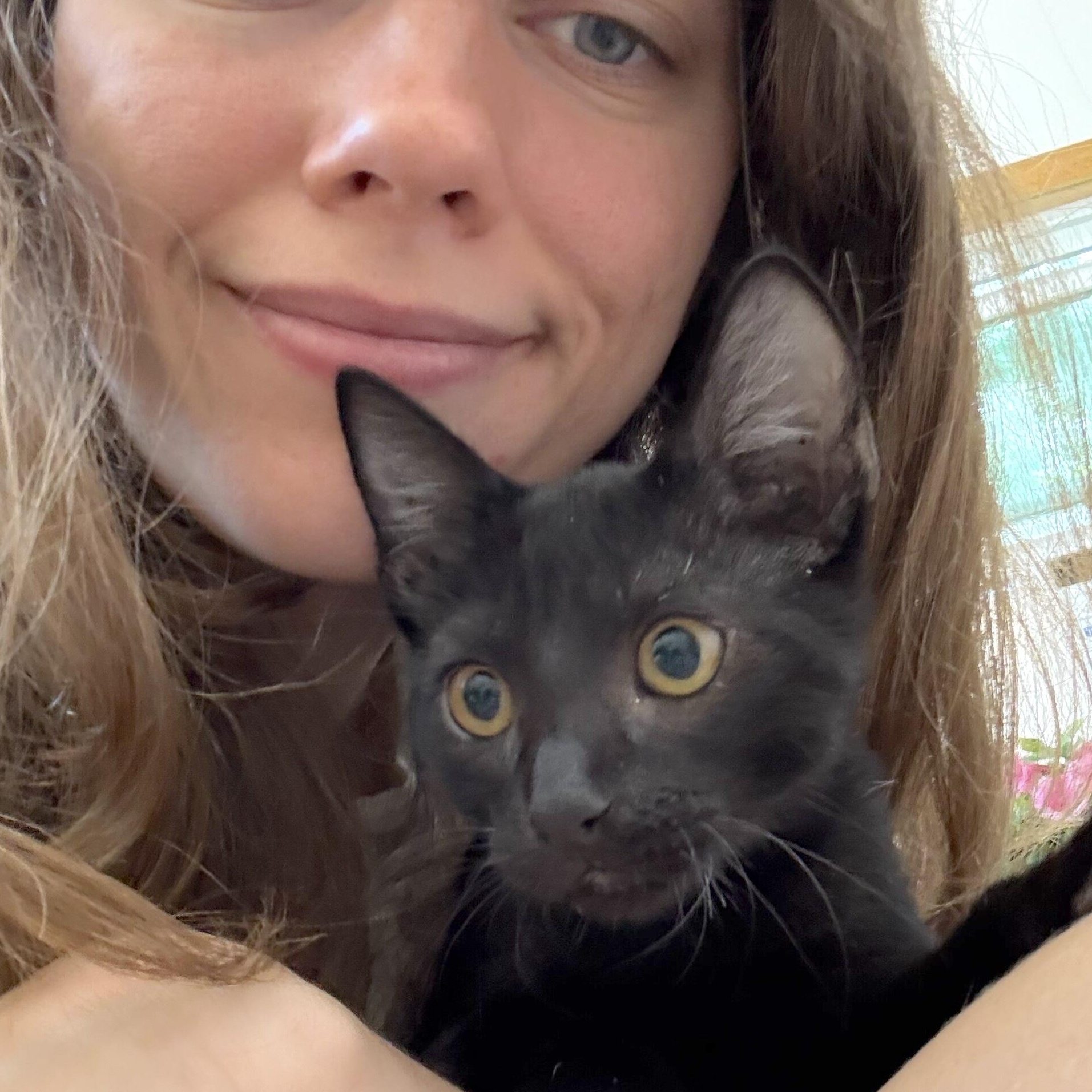 Reeses Candy — thumbnail 3