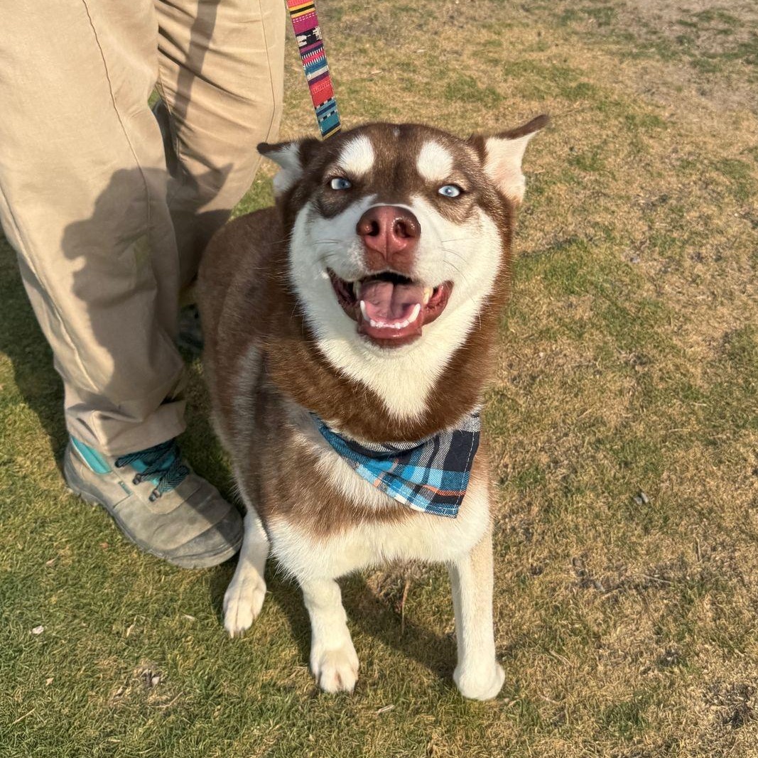 Friendly Eden from Kuwait