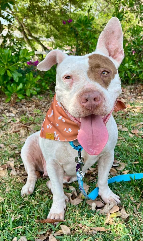 Jasmine — thumbnail 4