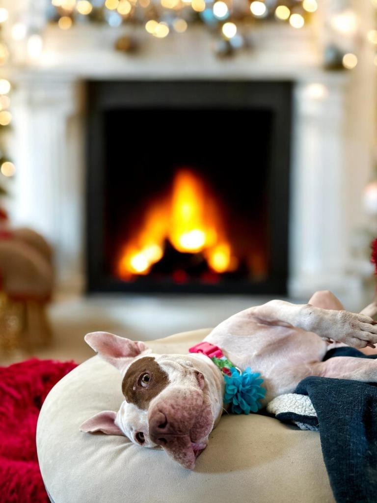 Jasmine — thumbnail 5