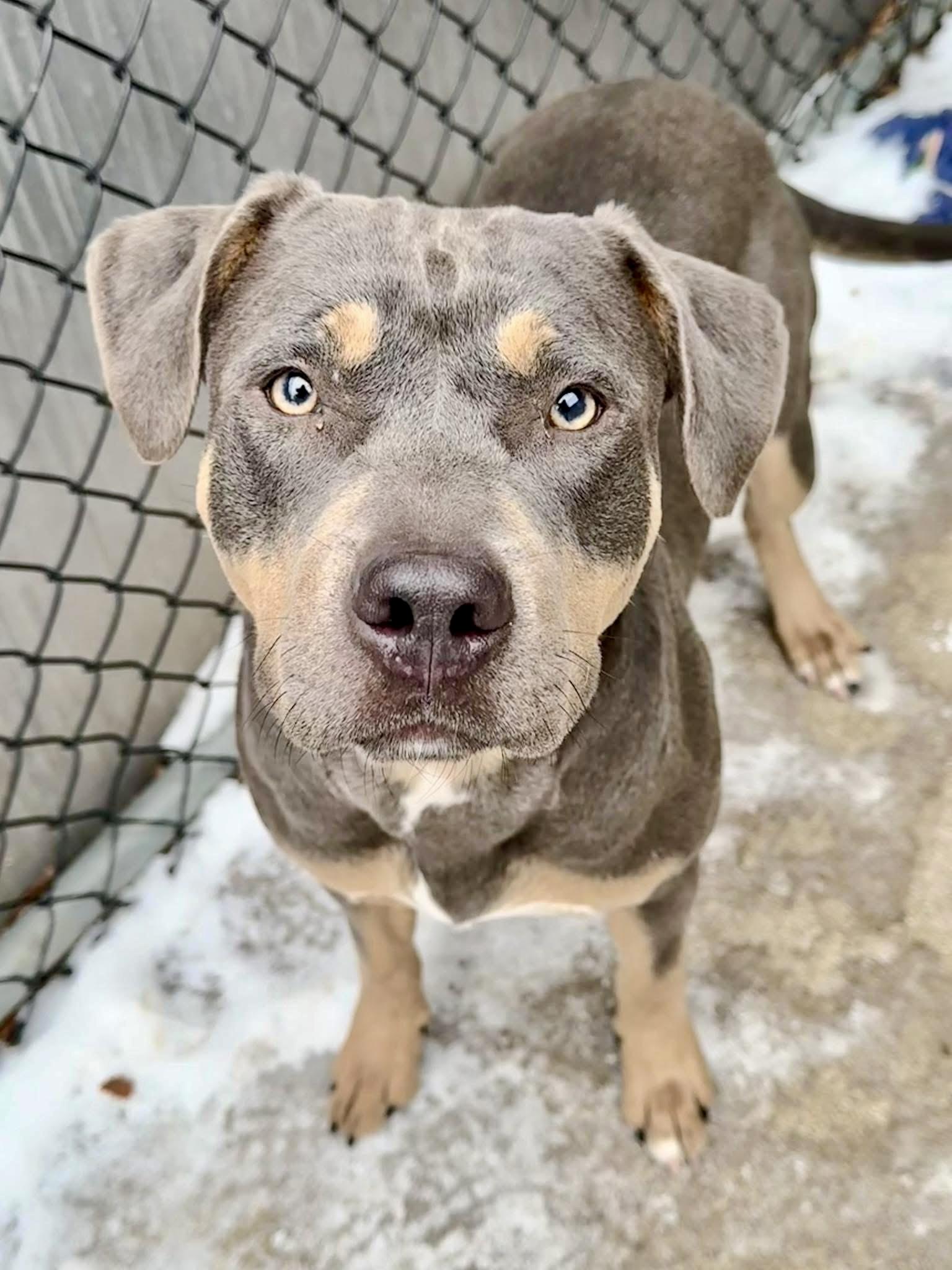 Millicent — thumbnail 2