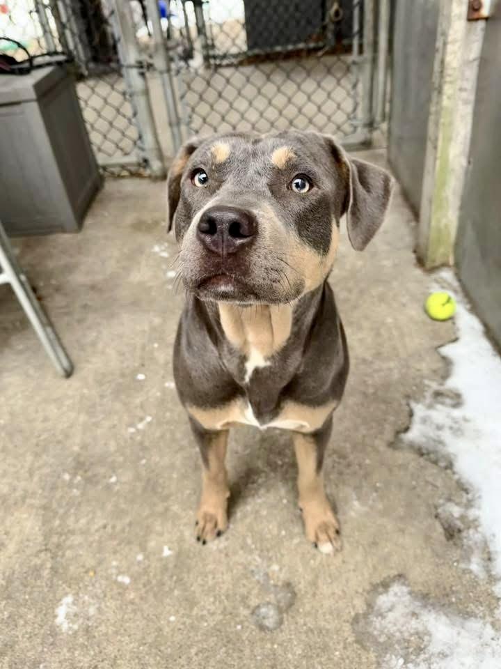 Millicent — thumbnail 3