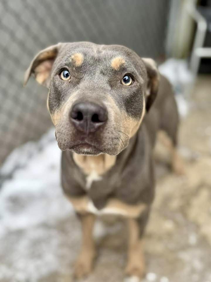 Millicent — thumbnail 4