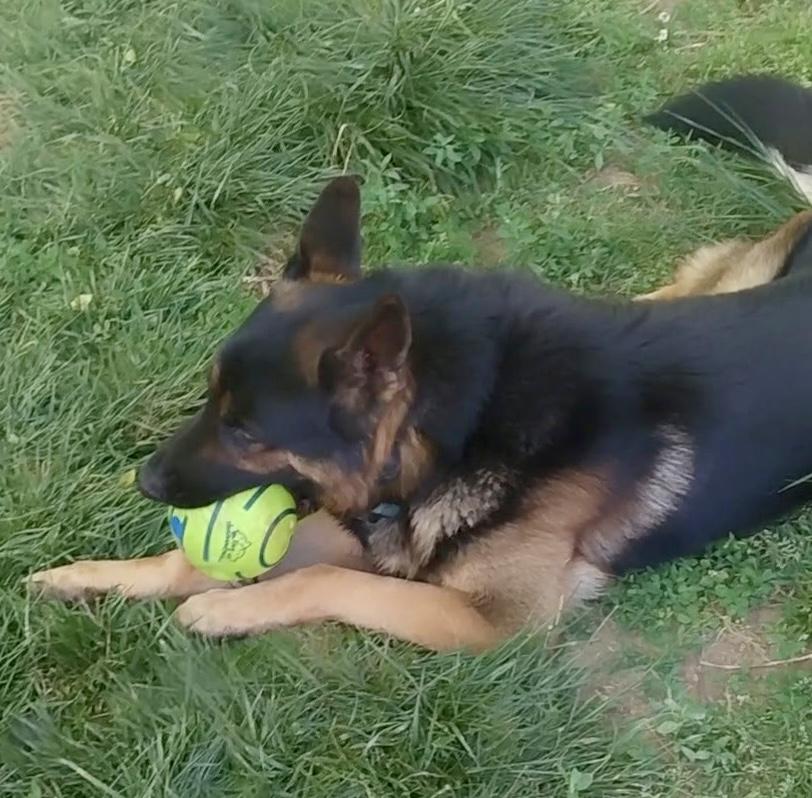 Titus photo 3