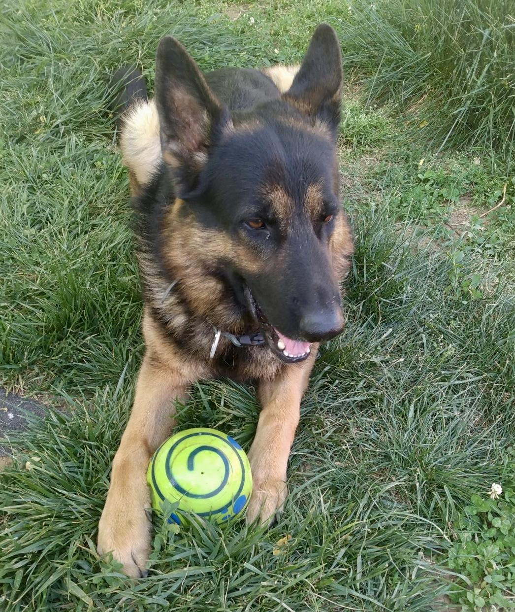 Titus photo 5