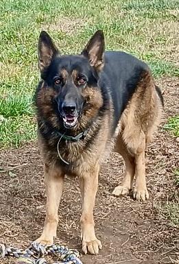 Titus photo 2