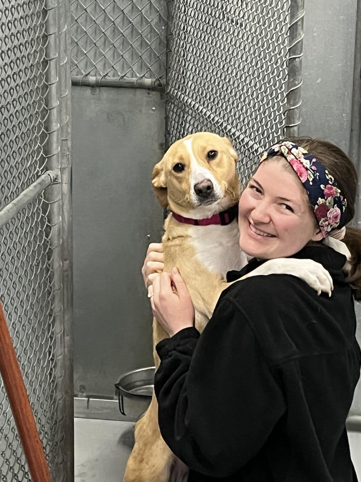 Enlarge Petra, a Adoptable mixed breed in Oak Ridge, TN image 6/6