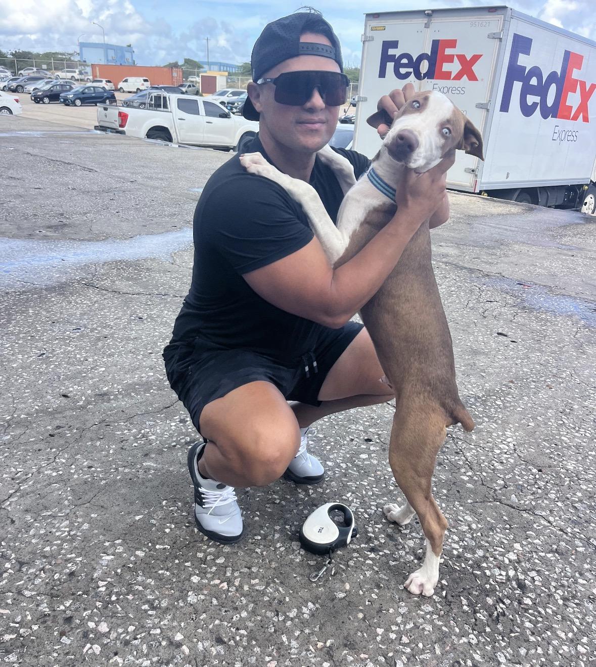 Enlarge Moomba, a Adoptable Mixed Breed in Pembroke, MA image 5/6