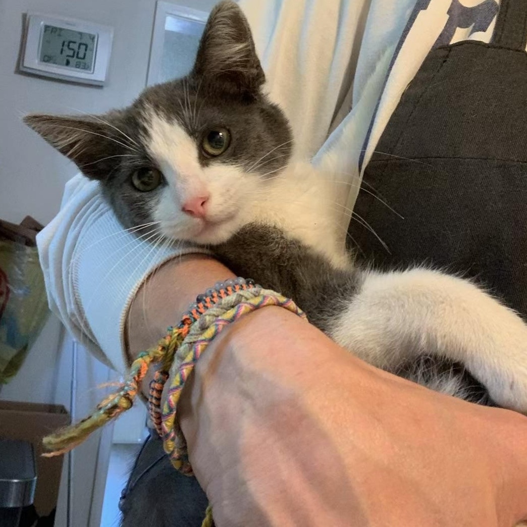 Teresa’s Sweet girl