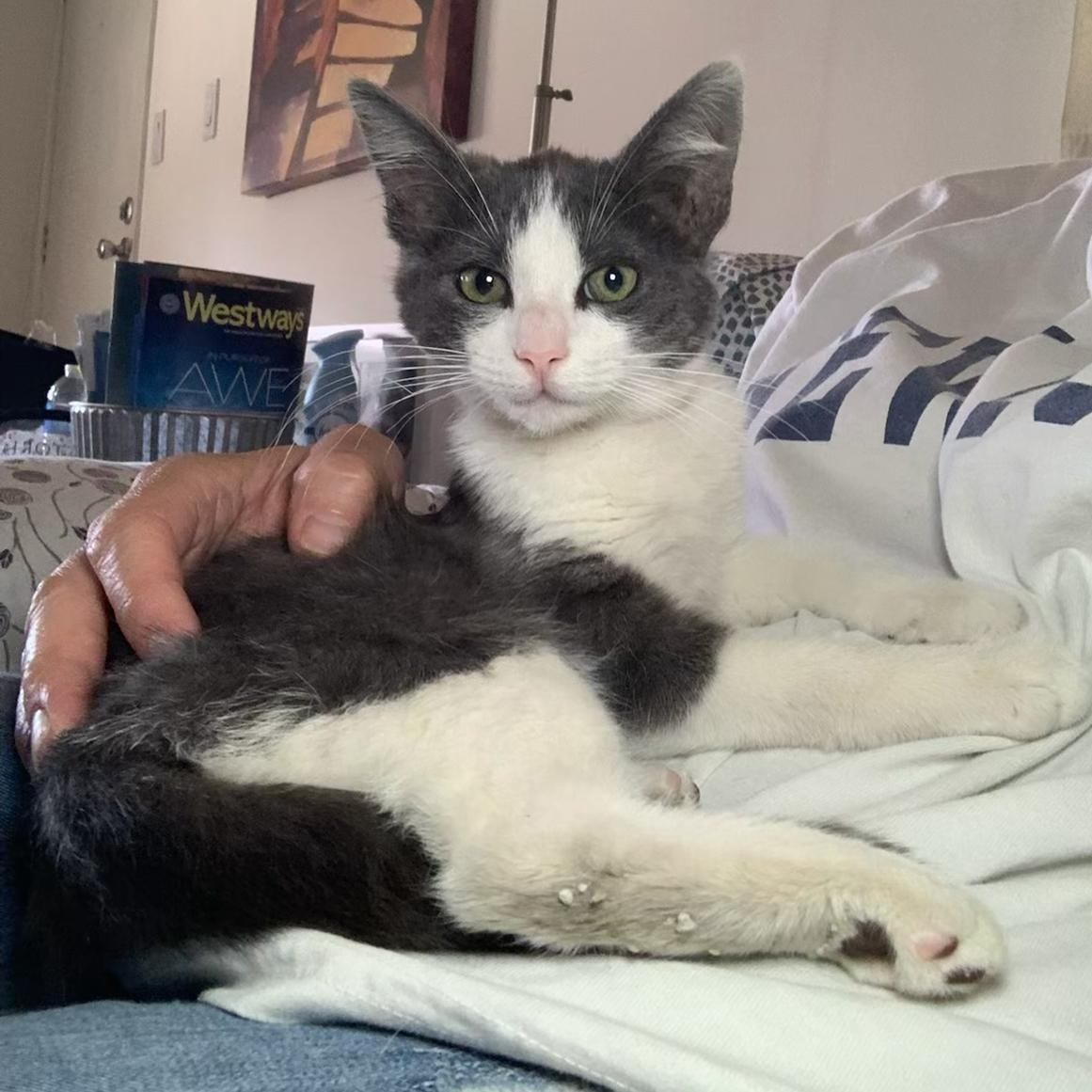 Teresa’s Sweet girl