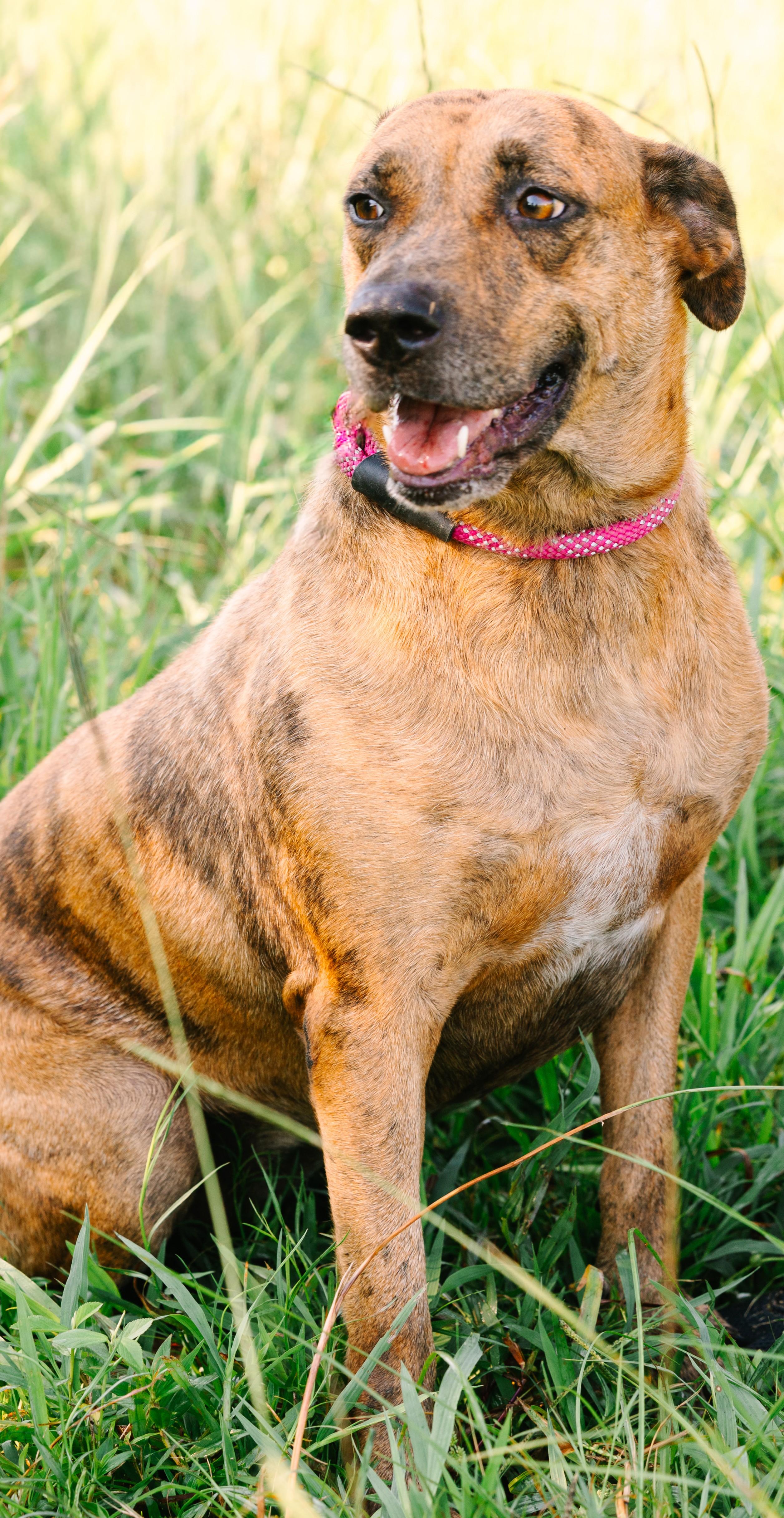 Precious thumbnail 2